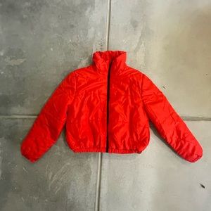 Wild fable crop puffer